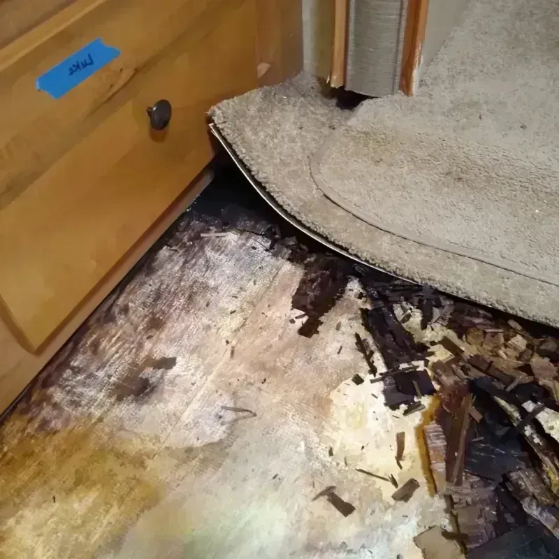 Best Wood Floor Water Damage Service in Beverly Cove, MA